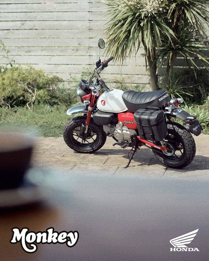 Honda Z125 Monkey - SKLADEM