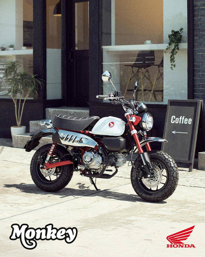 Honda Z125 Monkey - SKLADEM
