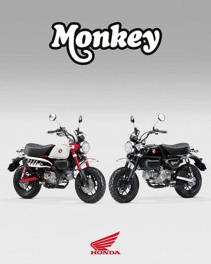 Honda Z125 Monkey - SKLADEM